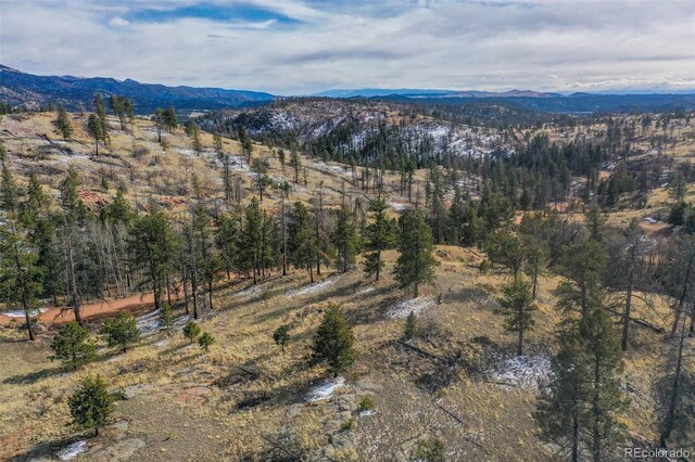 397 Chateau W Dr, Florissant, CO 80816