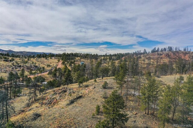 397 Chateau W Dr, Florissant, CO 80816