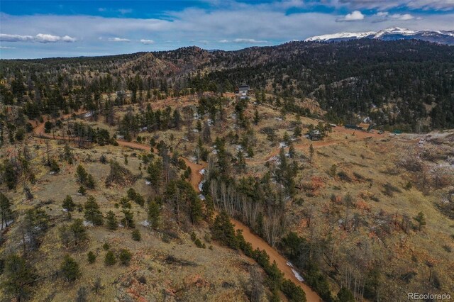 397 Chateau W Dr, Florissant, CO 80816