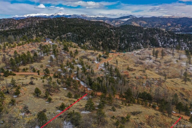 397 Chateau W Dr, Florissant, CO 80816