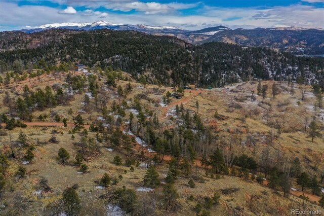 397 Chateau W Dr, Florissant, CO 80816