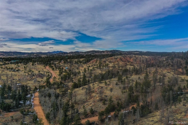 397 Chateau W Dr, Florissant, CO 80816