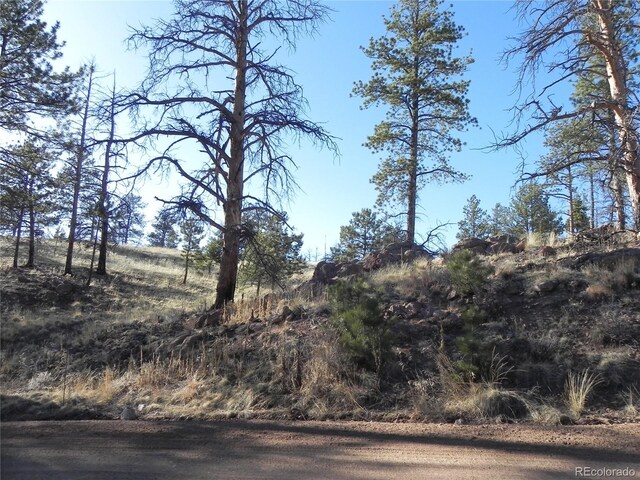 397 Chateau W Dr, Florissant, CO 80816