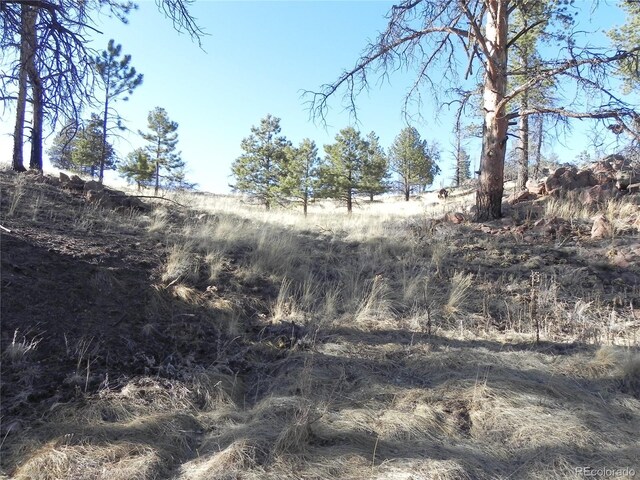 397 Chateau W Dr, Florissant, CO 80816