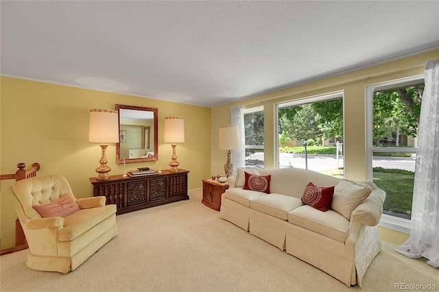 6425 W Frost Dr, Littleton, CO 80128 - living room with carpet