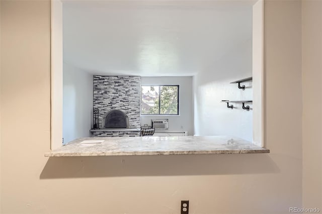 1008 N Corona St Unit 403, Denver, CO 80218 - detailed view of a fireplace