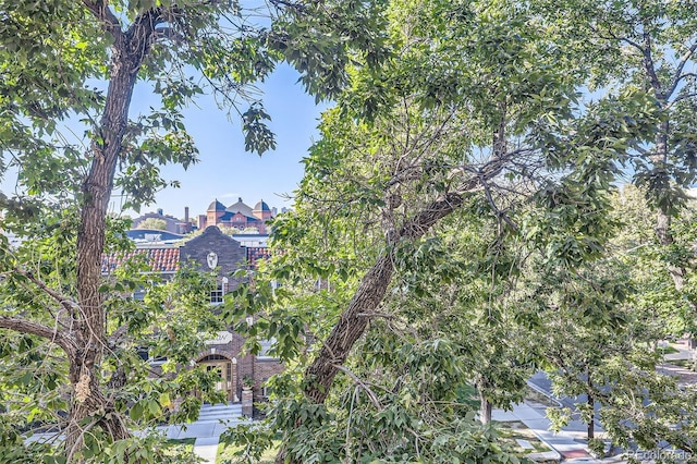 1008 N Corona St Unit 403, Denver, CO 80218 - view of mountain backdrop