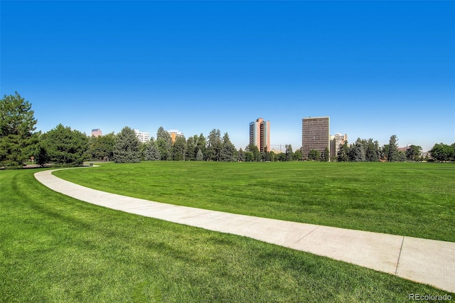 1008 N Corona St Unit 403, Denver, CO 80218 - view of property's community featuring a yard