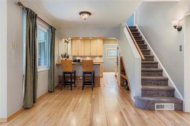 1257 Pontiac St, Denver, CO 80220 - photo 17