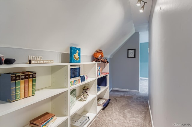 1257 Pontiac St, Denver, CO 80220 - photo 23