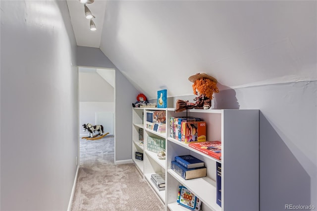 1257 Pontiac St, Denver, CO 80220 - photo 46