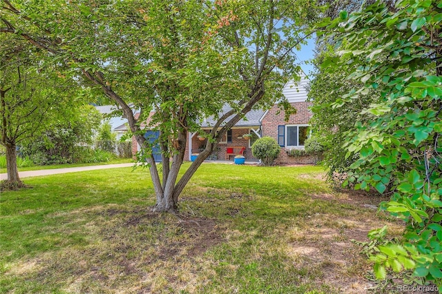 1257 Pontiac St, Denver, CO 80220 - photo 50
