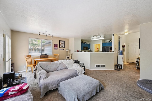 10223 Vine Ct, Thornton, CO 80229 - living room with a textured ceiling and carpet floors