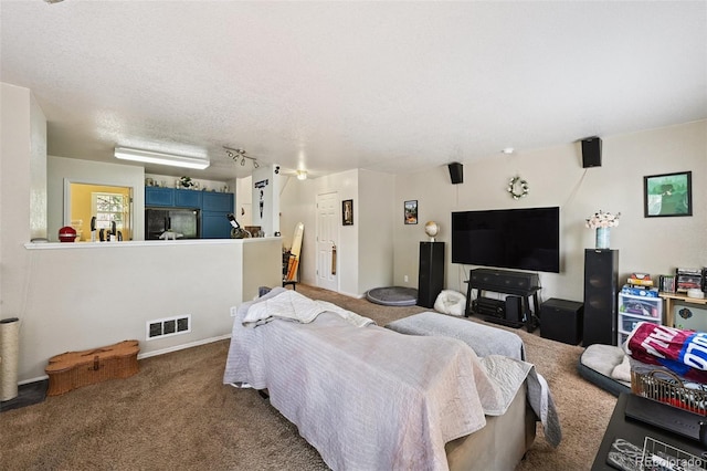 10223 Vine Ct, Thornton, CO 80229 - carpeted living area featuring a textured ceiling