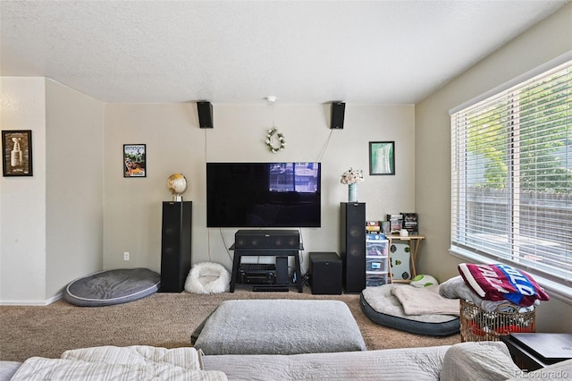 10223 Vine Ct, Thornton, CO 80229 - living area with carpet flooring