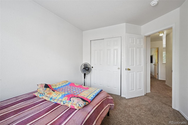 10223 Vine Ct, Thornton, CO 80229 - carpeted bedroom with a closet