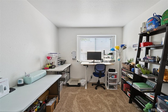 10223 Vine Ct, Thornton, CO 80229 - office featuring carpet flooring