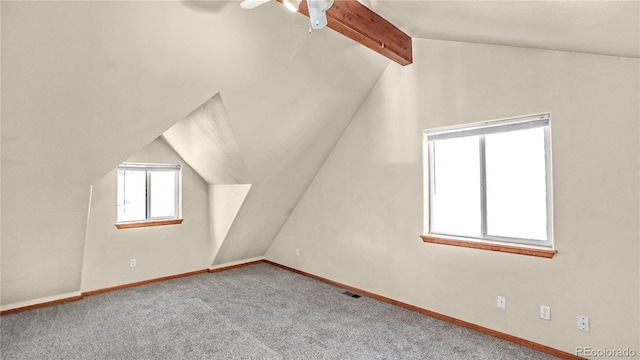 bonus room with lofted ceiling with beams, ceiling fan, and carpet floors