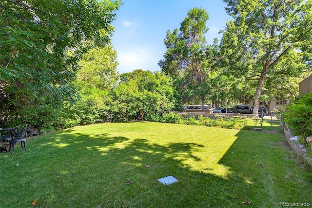 3421 E 16th Ave, Denver, CO 80206 - view of yard