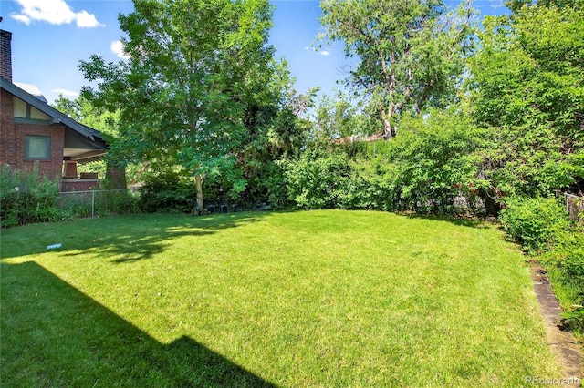 3421 E 16th Ave, Denver, CO 80206 - view of yard
