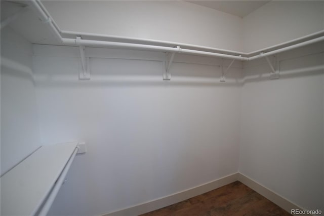 14546 Pine View Rd, Larkspur, CO 80118 - spacious closet with dark wood finished floors