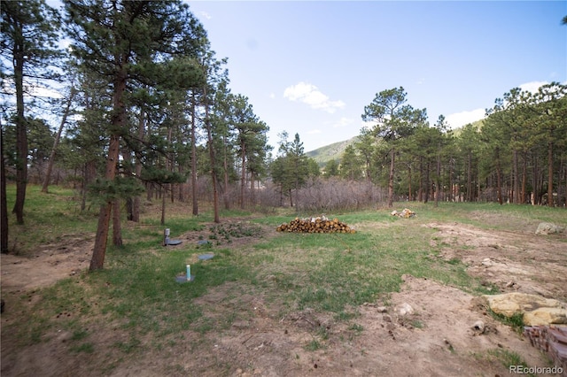 14546 Pine View Rd, Larkspur, CO 80118 - view of yard with a mountain view