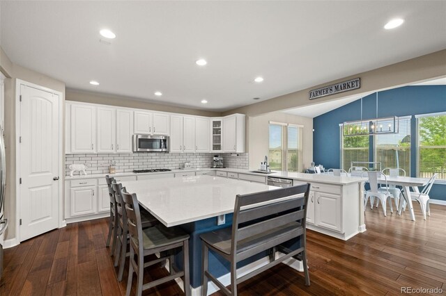 7734 Blue Water Dr, Castle Rock, CO 80108 - photo 8