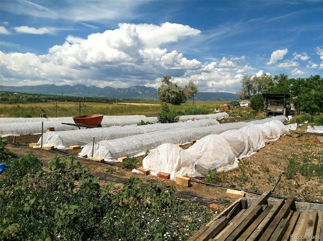 4586 N 95th St, Lafayette, CO 80026 - view of yard featuring a mountain view and a view of rural / pastoral area