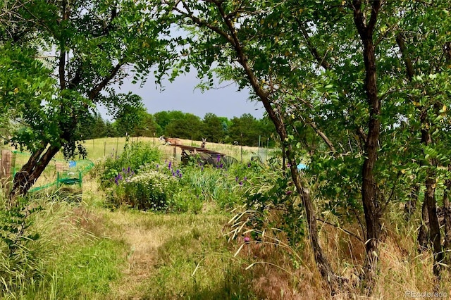 4586 N 95th St, Lafayette, CO 80026 - view of yard