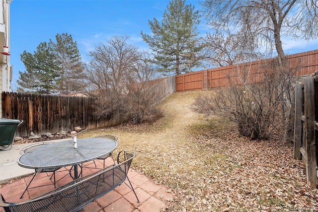 view of yard featuring a fenced backyard and a patio