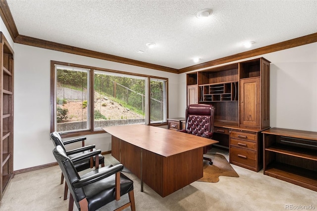 4 Pine Rd, Colorado Springs, CO 80906 - office area with light colored carpet, crown molding, and a textured ceiling
