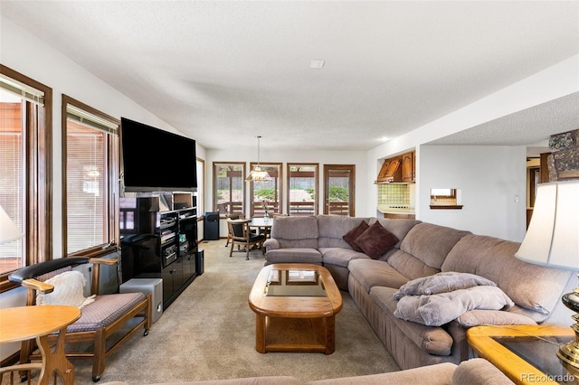 4 Pine Rd, Colorado Springs, CO 80906 - living room with light colored carpet and a textured ceiling