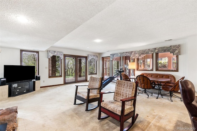 4 Pine Rd, Colorado Springs, CO 80906 - living room featuring a textured ceiling, light carpet, baseboards, and recessed lighting