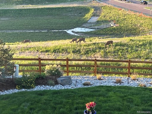 view of yard with a rural view