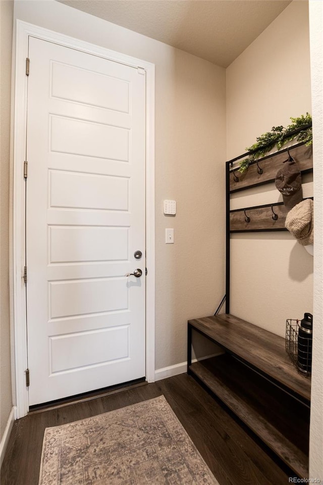 mudroom with dark wood-type flooring