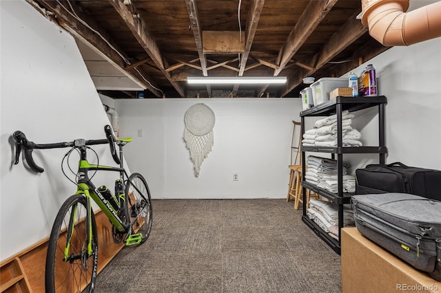 3059 N Humboldt St, Denver, CO 80205 - view of storage room