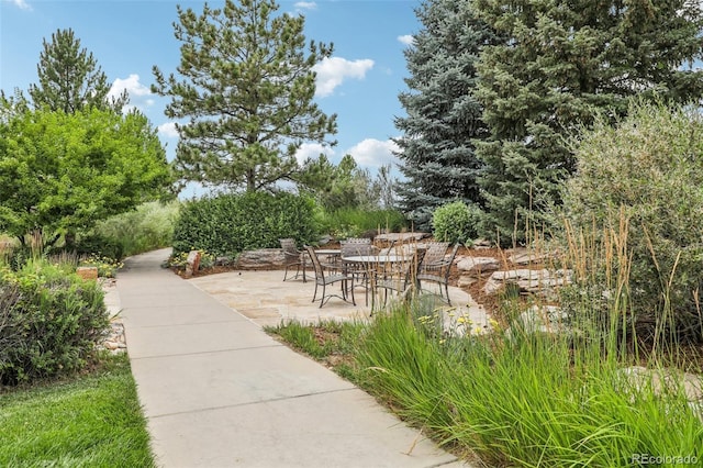 12176 S Hidden Trail Ct, Parker, CO 80138 - photo 45