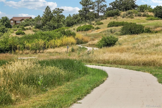 12176 S Hidden Trail Ct, Parker, CO 80138 - photo 47