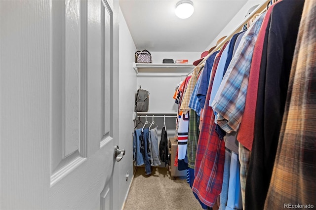 3021 S Ursula Cir Unit 102, Aurora, CO 80014 - spacious closet featuring carpet flooring