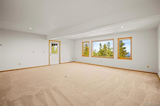 unfurnished room with a healthy amount of sunlight and light carpet