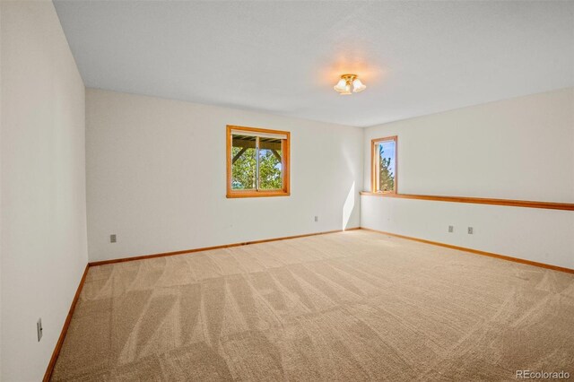 empty room featuring carpet floors