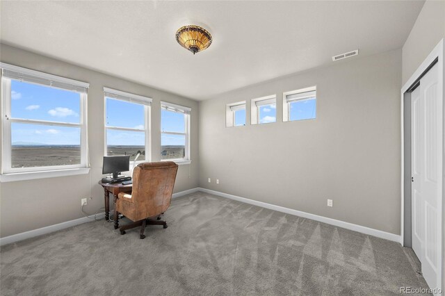 7600 Patrick Trl, Elizabeth, CO 80107 - photo 21