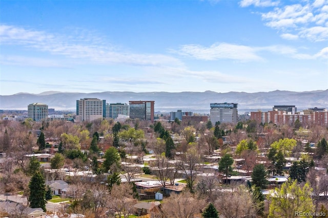 1325 S Grape St, Denver, CO 80222 - city view featuring mountains