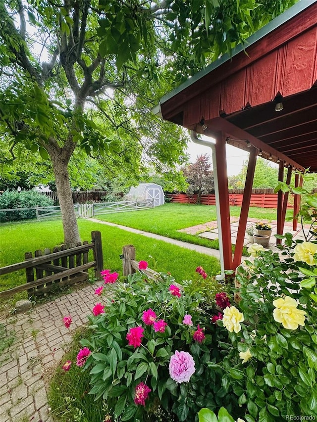 1325 S Grape St, Denver, CO 80222 - fenced backyard featuring a patio area and a storage unit
