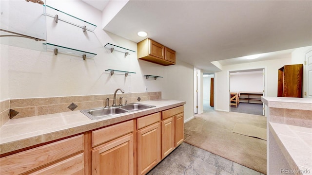 kitchen with light carpet and sink