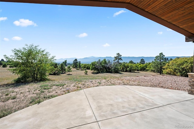 15790 Kingswood Dr, Colorado Springs, CO 80921 - photo 46