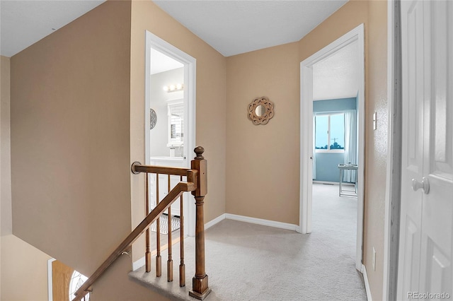 19040 Beacon Lite Rd, Monument, CO 80132 - photo 19