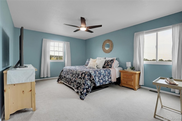 19040 Beacon Lite Rd, Monument, CO 80132 - photo 20