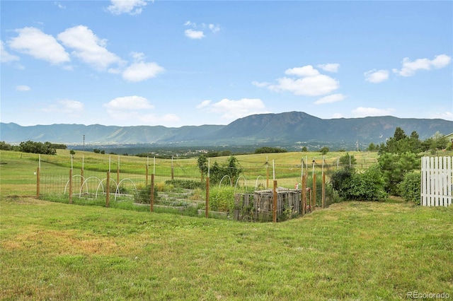 19040 Beacon Lite Rd, Monument, CO 80132 - photo 36
