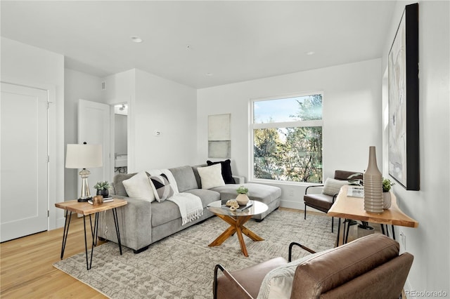 living room with light hardwood / wood-style floors